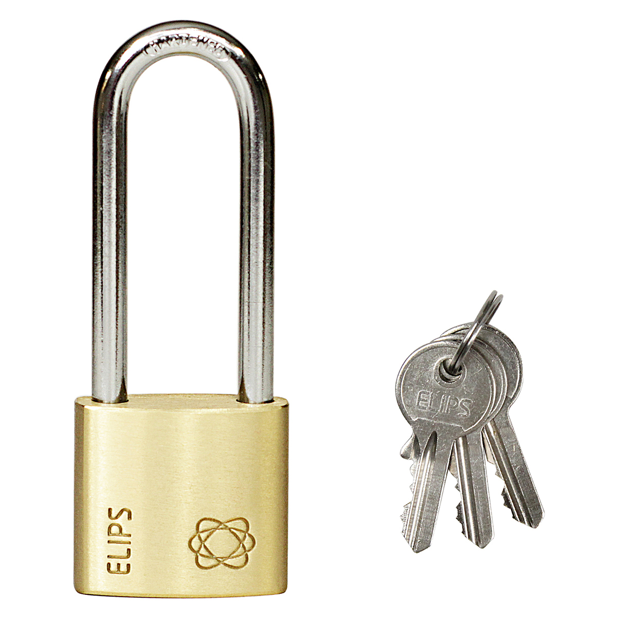 94827-8592218038255-d-rvelipspl30-2020 www 300 1200 12002